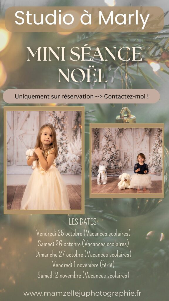 Mini séance de Noel - photographe professionnelle